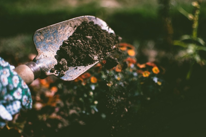 Kitchen Garden Fertilizer