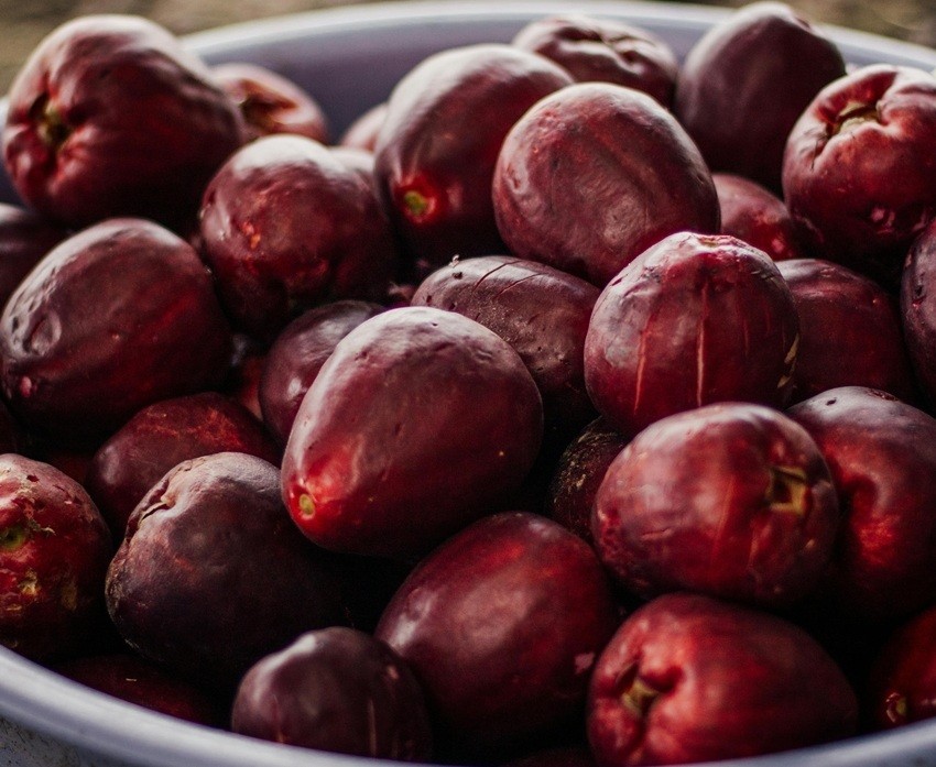 Kokum
