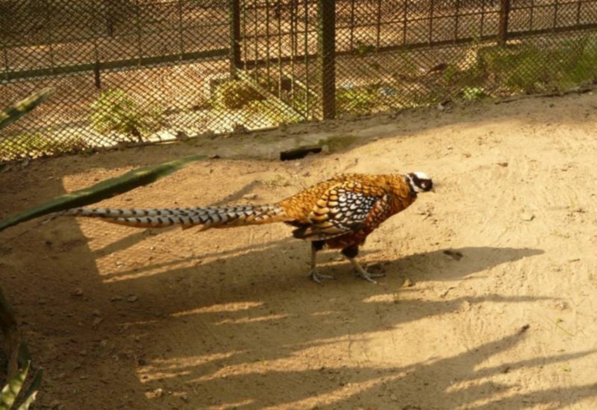 Kolkata tourist attractions