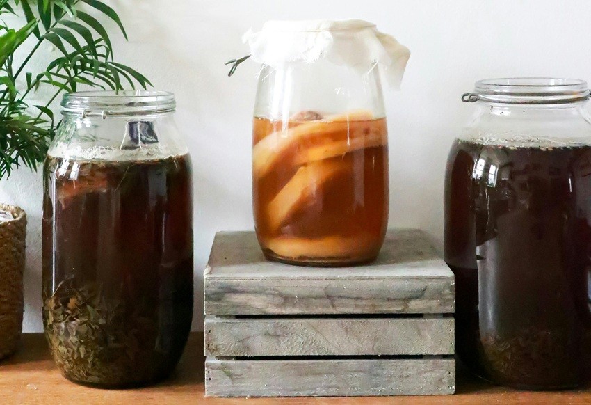 Kombucha