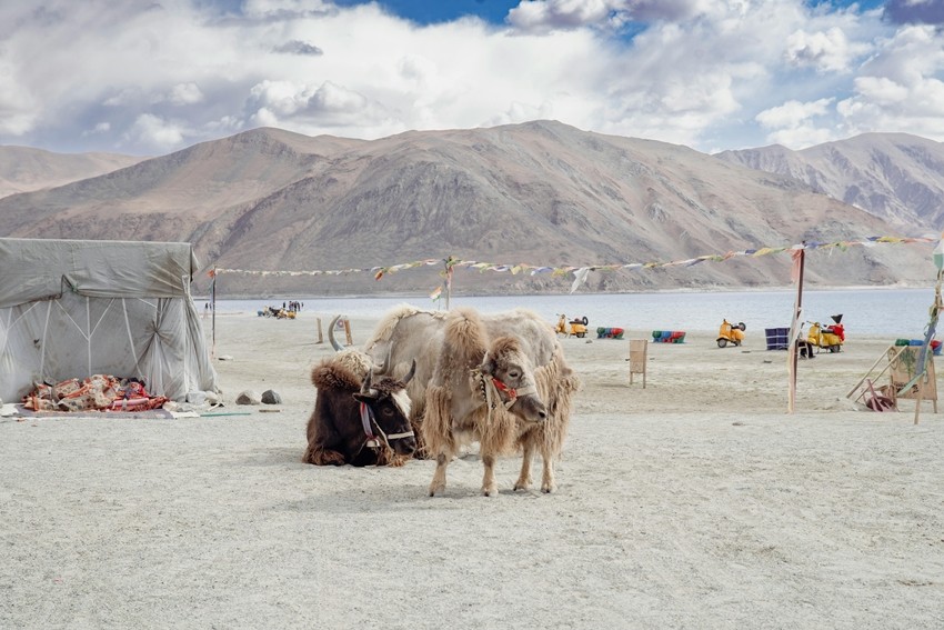 Ladakh, India