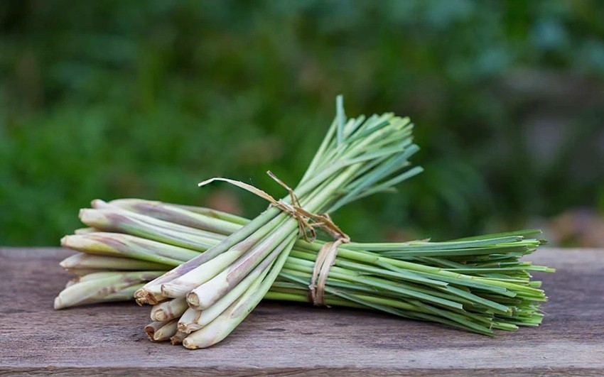 Lemongrass