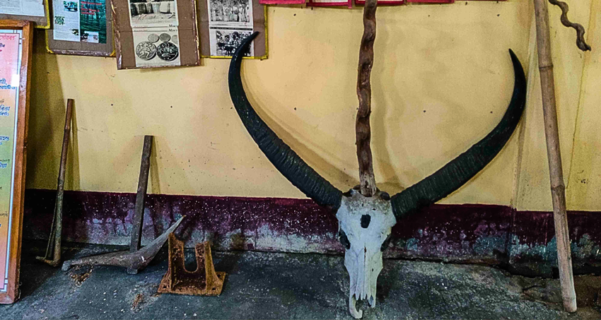 Mayong Central Museum and Emporium