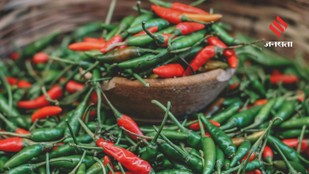 Meet Guntur The Indian City Famous For Its Fiery Red Chillies