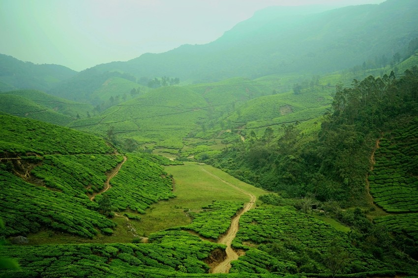 Munnar