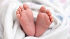 Newborn Survives Gujarat Road Accident That Killed Mother Two Others