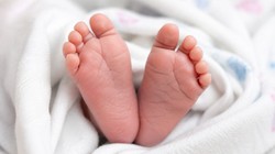 जाको राखे साइयां… सड़क हादसे का शिकार हुआ नवजात को लेकर घर लौट रहा परिवार, मां समेत दो की मौत, बच्चा सलामत