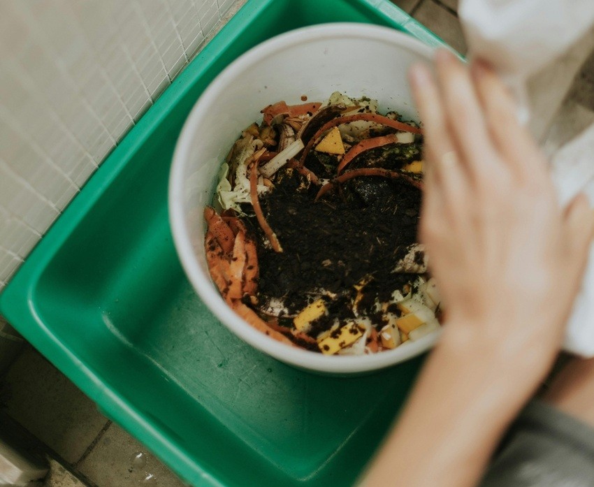 Organic Fertilizer at Home