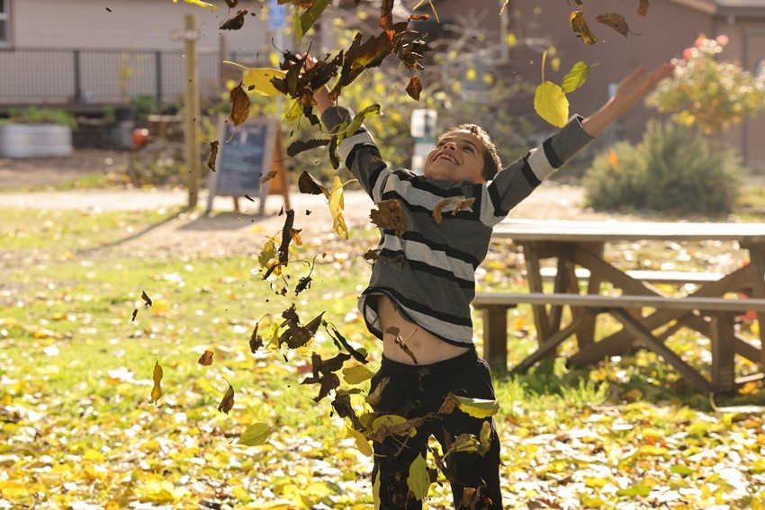 Parenting tips for screen-free play