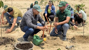 Peepal Baba, Peepal Baba Success Story, The Shade of the Peepal Tree, Peepal Baba, Environmental Conservation, Tree Plantation, Success Story