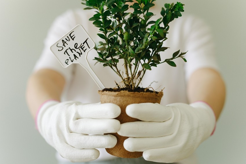 Plant Biosecurity for Food Security