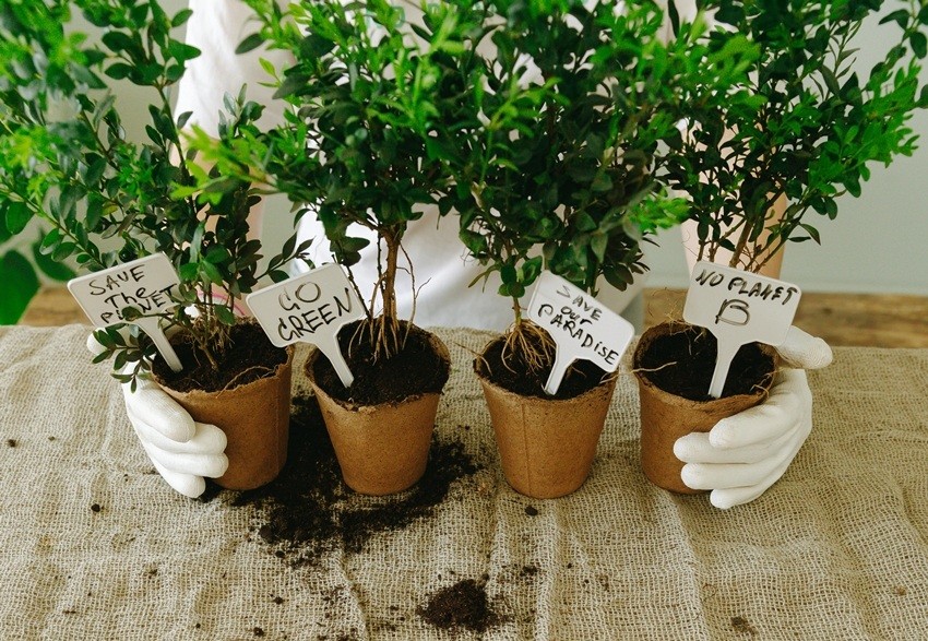 Plant Protection and Biosecurity