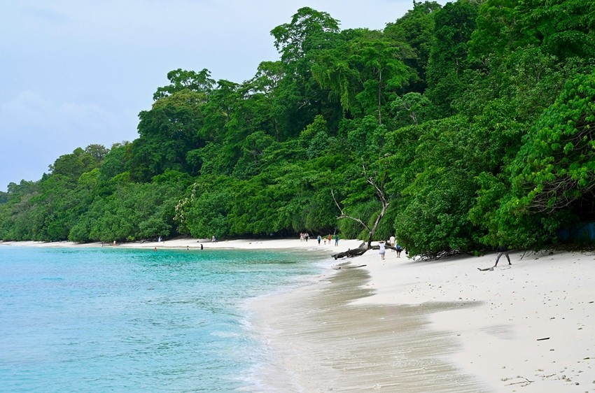 Radhanagar Beach