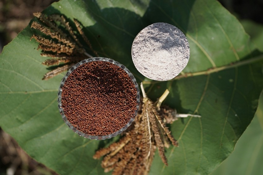 Ragi Idli