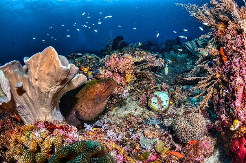 Raja Ampat (Indonesia)