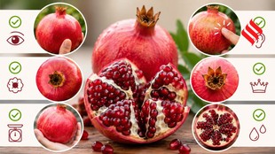 Red Pomegranate Identification