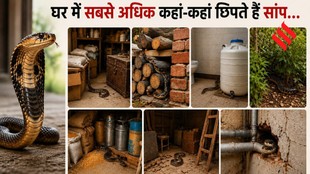 Snake Hiding Places at Home | common places snakes hide | dangerous places for snakes in house