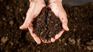 climate change, soil carbon loss, carbon cycle, global warming