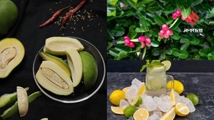 Sour Ingredients That Make Indian Food Irresistible