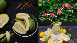खट्टे स्वाद का देसी तड़का: जानिए भारत के अलग-अलग राज्यों की खास सामग्री, जो बनाती हैं स्वाद खास