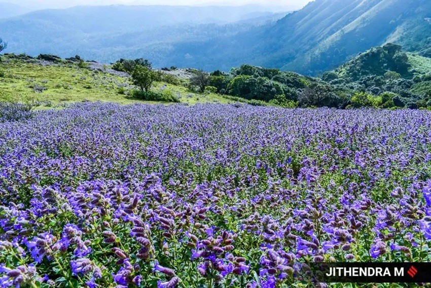 South India natural wonder