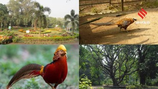 Story Behind India Oldest Zoological Garden