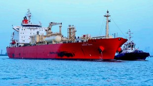 Hormuz Strait Crisis, Strait of Hormuz oil flow, ADNOC CEO statement Hormuz Strait, UAE oil giant ADNOC, Hormuz oil supply disruption, Iran war oil crisis, Global oil supply crisis, Middle East oil crisis 2026, Hormuz blockade news,