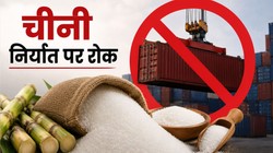भारत सरकार ने चीनी के निर्यात पर लगाई रोक, कीमत नियंत्रित रखने के लिए फैसला, जानें क्यों लिया गया फैसला