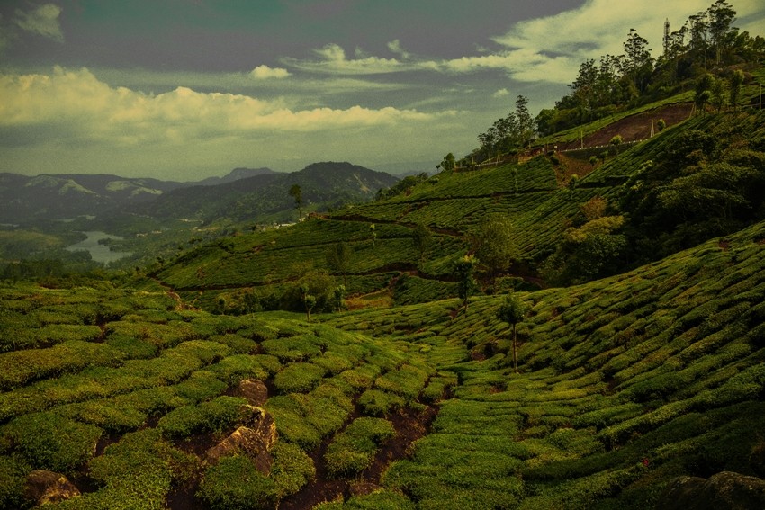 The 'Mini England' Munnar, Kerala