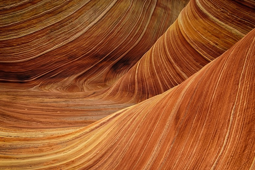 The Wave, USA