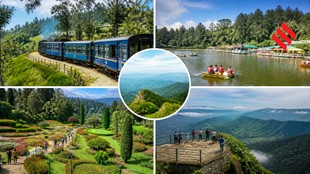 Things to do in Ooty