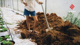 Turn Everyday Household Waste into Powerful Organic Plant Food