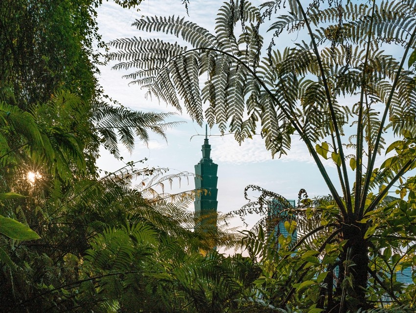 Urban Jungle in Taipei