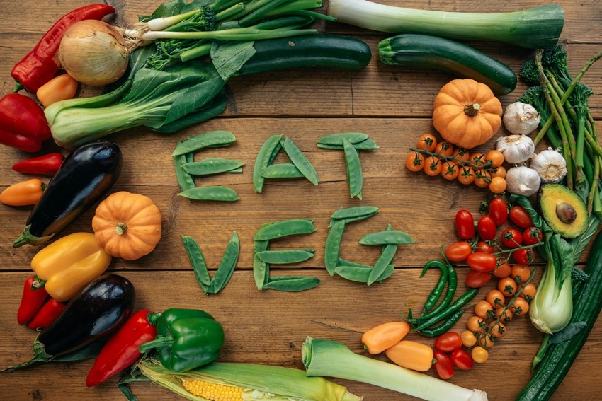 VEGETARIANISM