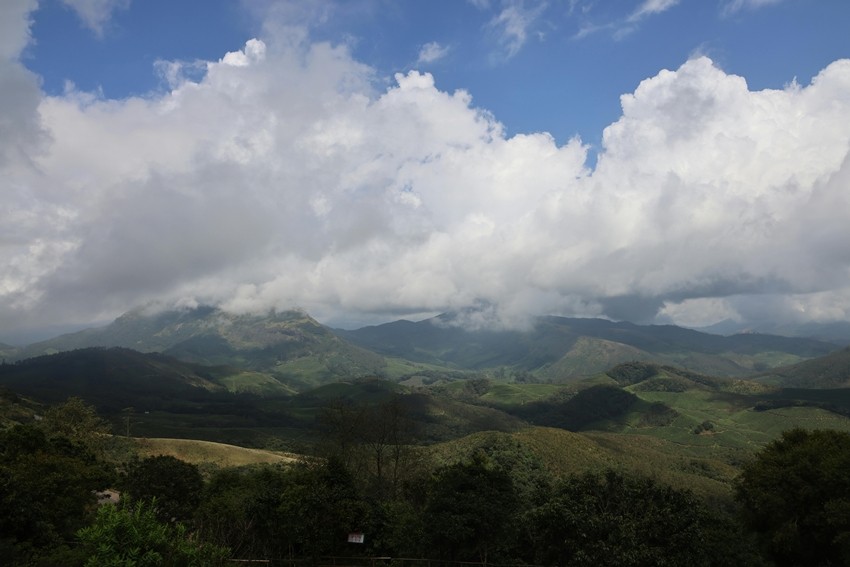 Western Ghats, Multiple States