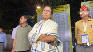 What are the legal options against the Chief Minister under the Constitution