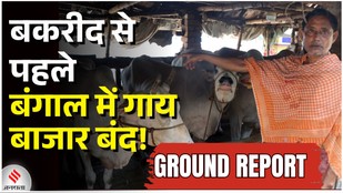 ahead-of-bakri-eid-high-court-junks-pleas-on-bengal-cattle-slaughter-rules-full doc-bengal cattle traders-suvendu adhikari