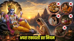 अपरा एकादशी पर इन गलतियों को करने से बचें, जानें व्रत के नियम