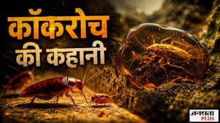 cockroach janta party, cockroach janta party news,history of cockroach