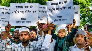 cow slaughter | national politics | hindutva politics