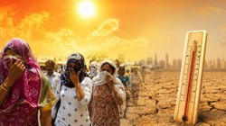 हीटवेव पर डराने वाली रिपोर्ट, भारत में सिर्फ गर्मी से 3400 मौतें, यूपी-बिहार समेत 5 राज्य सबसे ज्यादा प्रभावित