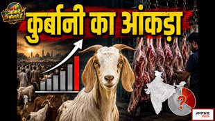 eid, qurbani, muslim