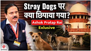 Supreme Court Order on Stray Dogs को लेकर एक्सपर्ट बोले, 'नसबंदी के बाद भी कैसे बढ़ी आबादी'