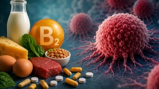 Vitamin B2, riboflavin, cancer cells, ferroptosis, programmed cell death, Nature Cell Biology study, cancer metabolism, tumour survival, oxidative stress, oncology research, cancer treatment resistance,
