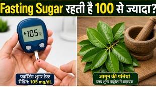 जामुन के पत्ते के फायदे,Jamun ke patte ke fayde,ब्लड शुगर कंट्रोल करने के उपाय,खाली पेट जामुन के पत्ते चबाने के फायदे, Fasting blood sugar control tips, हाई ब्लड शुगर का आयुर्वेदिक इलाज, Jamun leaves for diabetes in hindi,