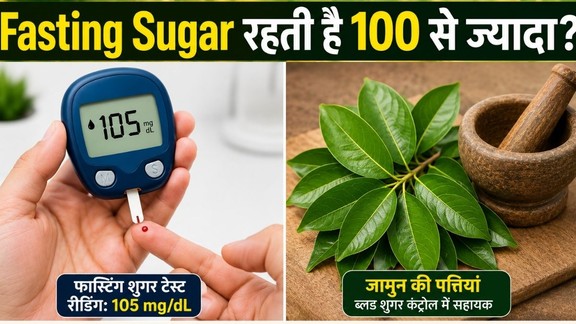 जामुन के पत्ते के फायदे,Jamun ke patte ke fayde,ब्लड शुगर कंट्रोल करने के उपाय,खाली पेट जामुन के पत्ते चबाने के फायदे, Fasting blood sugar control tips, हाई ब्लड शुगर का आयुर्वेदिक इलाज, Jamun leaves for diabetes in hindi,