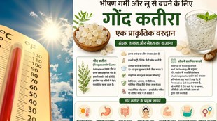 Gond Katira benefits in summer, How to consume Gond Katira, Gond Katira side effects, Gond Katira benefits and uses,Right way to eat Gond Katira,