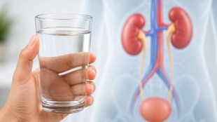 Drinking Water Just After Urination, Drinking Water Immediately After Urination Effects On Body, Why We Should Not Drink Water Immediately After Urination,