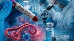 Ebola Vaccine: कोरोना के बाद अब इबोला की वैक्सीन बनाएगा सीरम इंस्टीट्यूट; ऑक्सफोर्ड यूनिवर्सिटी के साथ हुआ बड़ा करार