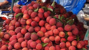 Tezpur litchis, Assam litchis, GI tagged fruits, litchi health benefits, summer fruits, hydration foods, vitamin C fruits, healthy summer snacks, diabetes and litchis,